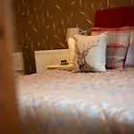 Fir Trees Отель типа 