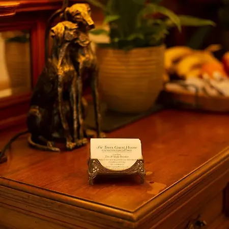 Bed and breakfast Fir Trees Bowness-on-Windermere