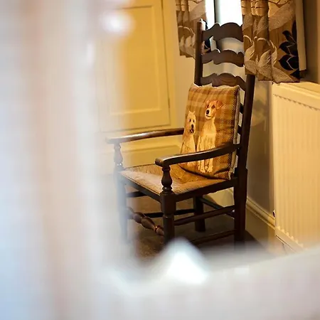 Fir Trees Bed and breakfast 4*