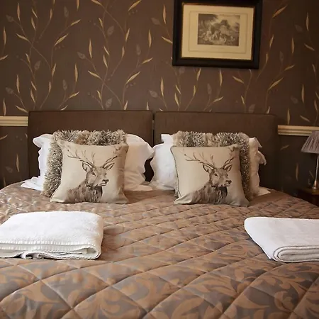 Bed and breakfast Fir Trees 4*